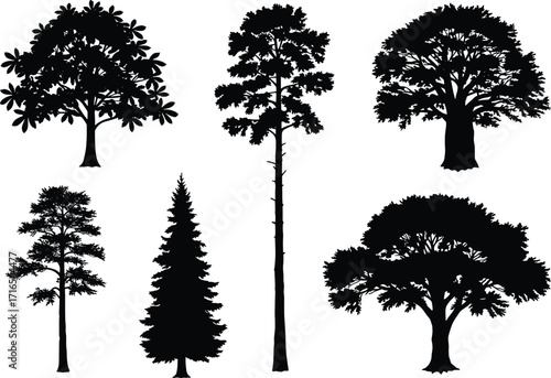 Collection of six unique tree silhouettes including baobab, pine, spruce, conifer, and broad trees, vector illustration for eco design