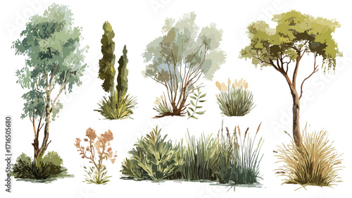 Marsh Vegetation Set Isolated Vector Style for Eco-Friendly Designs