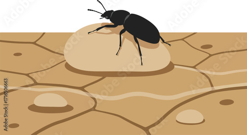 Beetle crawling on dry cracked earth ground soil vector illustration with insect detail and natural environment design