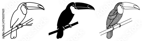 Tropical Toucan Bird with a Big Beak on a Branch black shape vector laser cutting engraving monochrome print