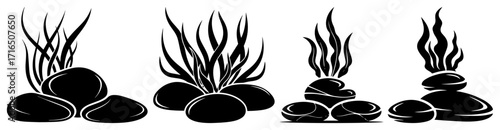 Set of Seaweed Silhouettes on Stones for Aquarium Design