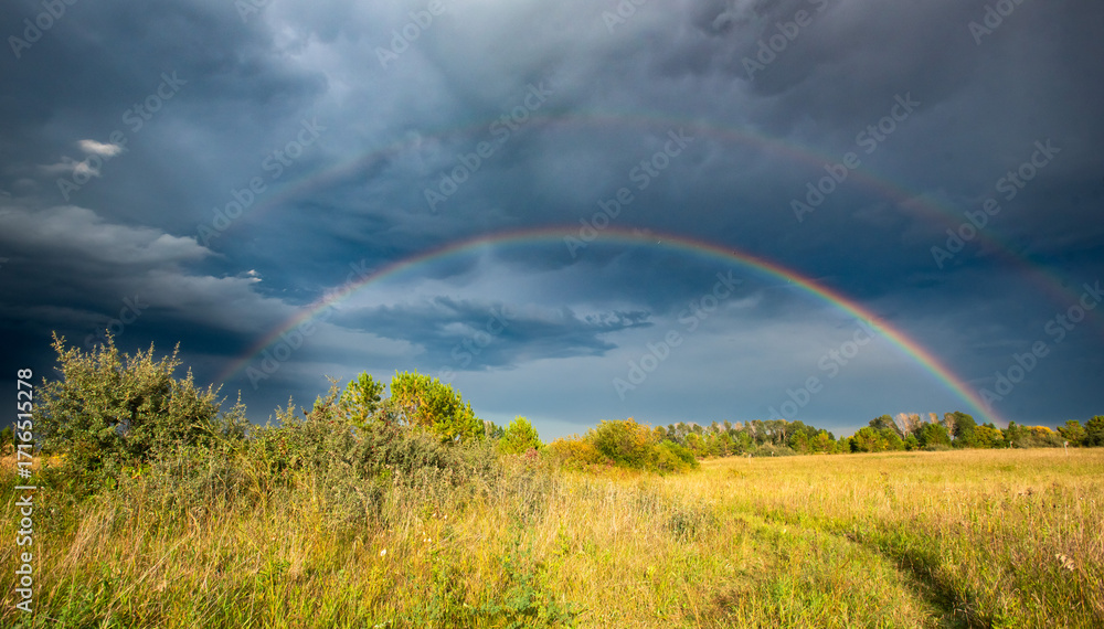 Naklejka premium Rainbow over the prairie field