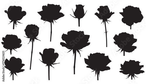 Collection of black rose silhouettes diverse angles and stages of bloom for elegant design elements