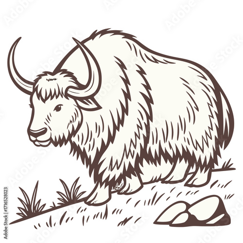 Detailed Line Art Illustration of a Majestic Yak with Horns and a Furry Coat