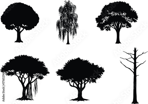 Set of six black tree silhouettes isolated on white background, natural forest shapes, eco design elements for landscape and environment illustration