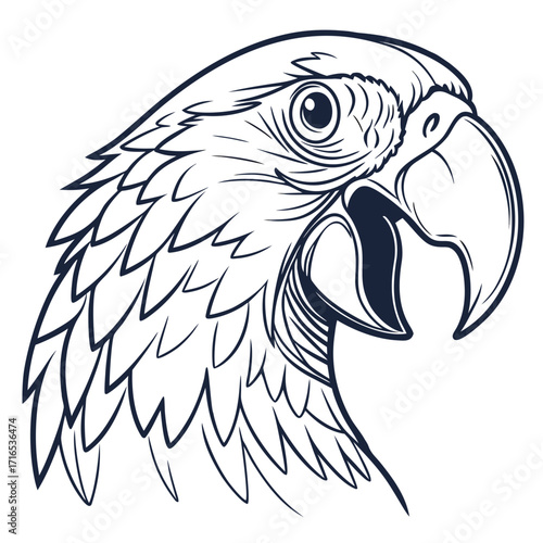 Detailed black and white vector sketch of a tropical parrot head