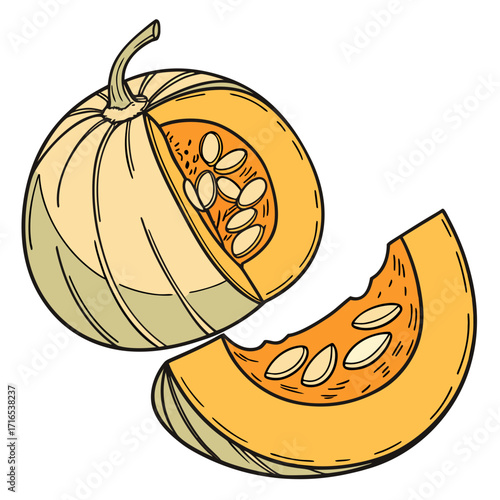 Illustration of a pumpkin with a cut showing seeds and a separate slice on white background