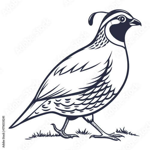 A striking illustration of a quail bird, captured in a stylized, minimalist black and white design, highlighting its distinct features and elegant form