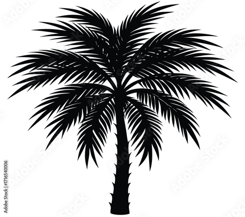 Palm tree silhouette isolated on white background