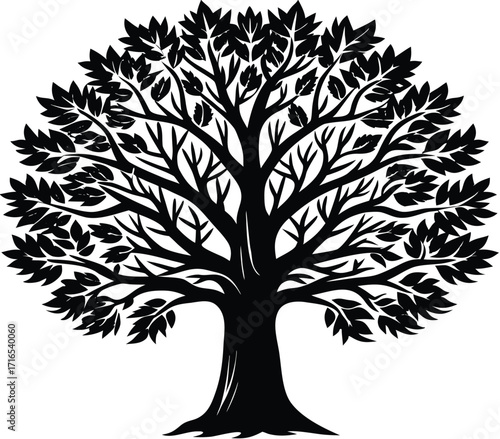 Black and white vector tree silhouette with branches and leaves