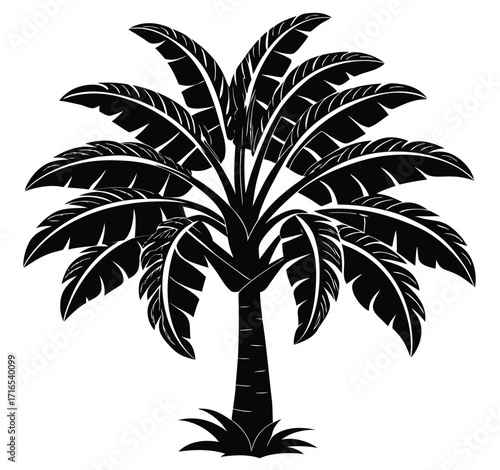 Tropical palm tree vector silhouette on beach