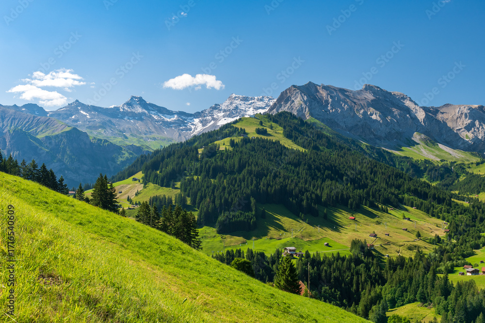Obraz premium Scenic alpine landscape with green meadows, towering mountains, and clear blue summer skies in the heart of the Swiss Alps