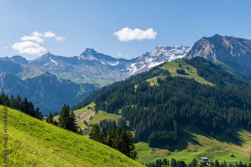 Fototapeta premium Scenic alpine landscape with green meadows, towering mountains, and clear blue summer skies in the heart of the Swiss Alps
