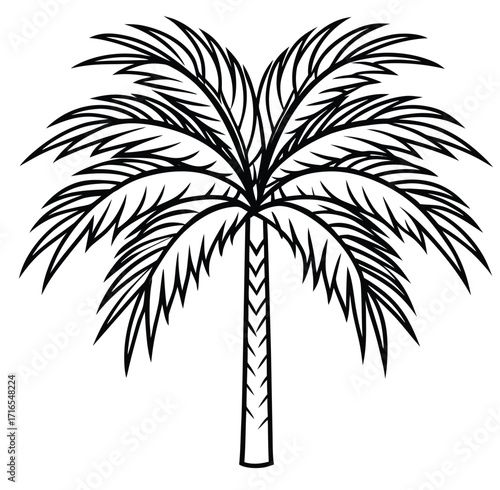 Vector tropical palm trees silhouette illustration for beach and summer designs