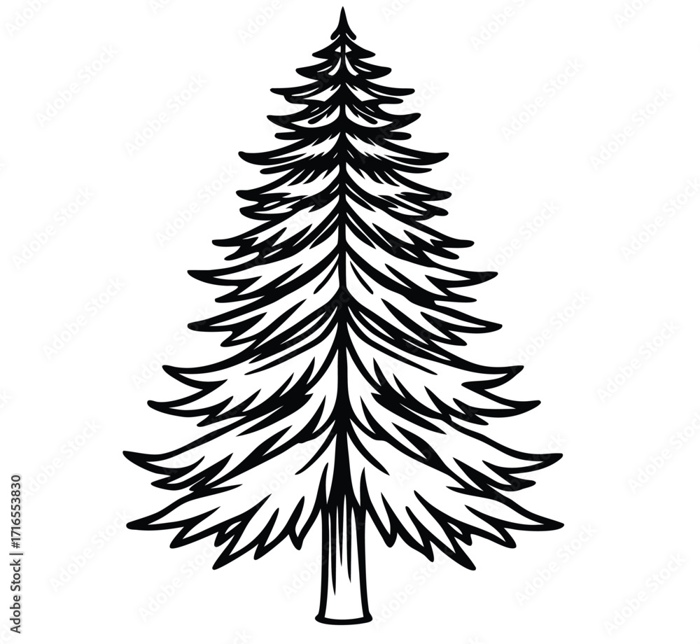 Obraz premium A vibrant set of isolated Christmas fir trees with a variety of green and snowy branches perfect for holiday and winter season illustrations