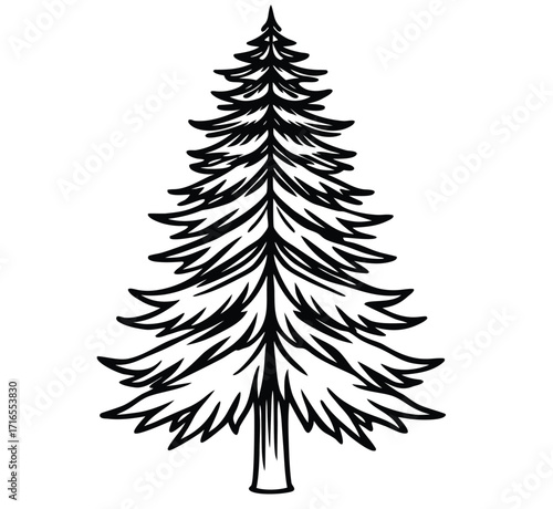 A vibrant set of isolated Christmas fir trees with a variety of green and snowy branches perfect for holiday and winter season illustrations
