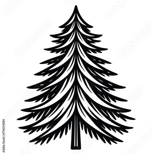 Set of different Christmas trees, pine and fir branches, with winter snow and holiday decorations, vector illustration