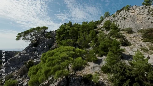 FPV drone footage of rugged mountain cliffs and pine forest. Dynamic cinematic flight from ridge into dramatic valley view.