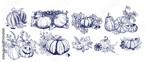 Pumpkin set, symbol of harvest and Thanksgiving Day season. Pumpkin or gourd for basket decoration set. Holiday Autumn festive drawing. Hand drawing sketch for celebration of fall