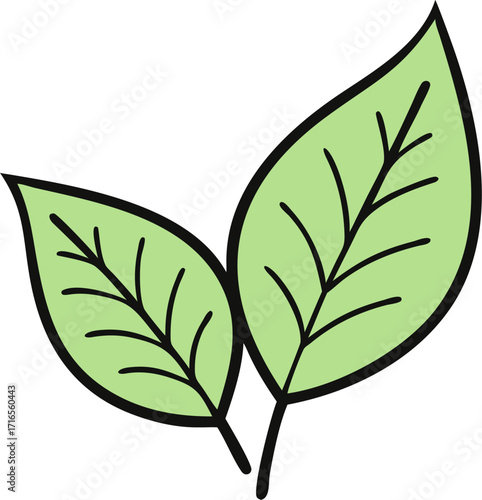 leaves, 