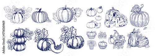 Pumpkin set, symbol of harvest and Thanksgiving Day season. Pumpkin or gourd for basket decoration set. Holiday Autumn festive drawing. Hand drawing sketch for celebration of fall