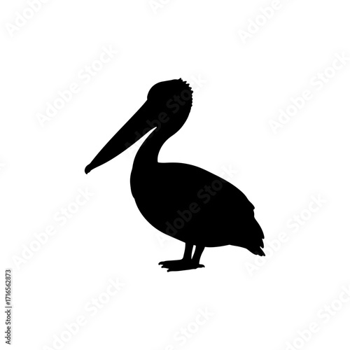 Pelican silhouette vector flat illustration design.