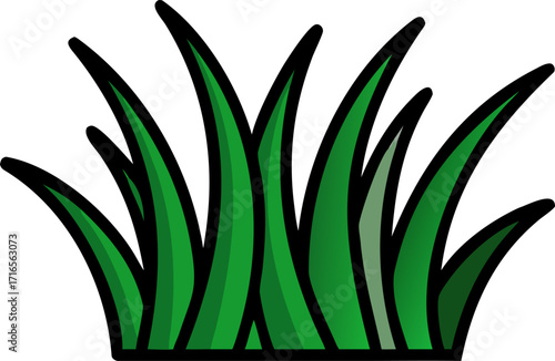 Grass lawn