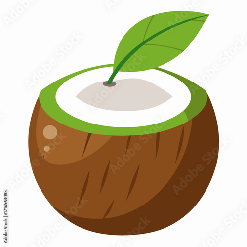 Fresh tropical vibes with this vibrant half coconut illustration, perfect for summer promotions, healthy food blogs, or exotic travel brochures, originally a scalable vector graphic