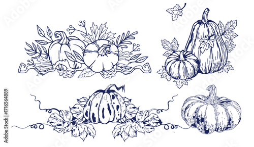 Pumpkin set, symbol of harvest and Thanksgiving Day season. Pumpkin or gourd for basket decoration set. Holiday Autumn festive drawing. Hand drawing sketch for celebration of fall