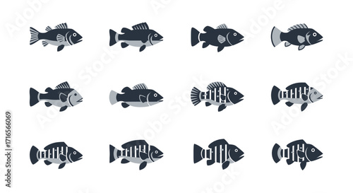 A diverse set of black, white, and grey fish illustrations with unique striped and spotted patterns.