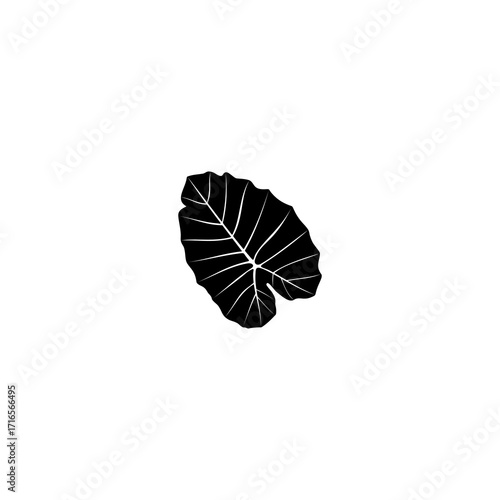 silhouette of taro leaf in black
