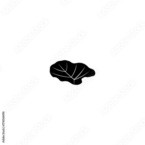 silhouette of taro leaf in black