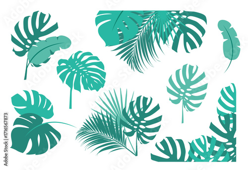 Monstera and Tropical Leaves Element Collection. Green tropical leaves and plants in various shapes and patterns, vector illustration set. Includes monstera, palm, and other exotic leaves