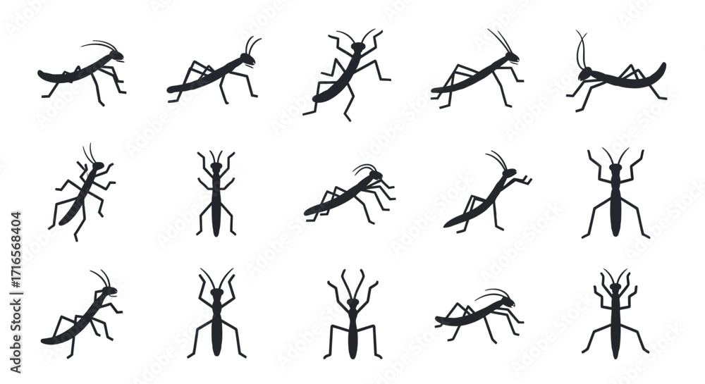 Fototapeta premium Collection of Stick Insect Silhouettes - Diverse Poses and Leg Configurations.