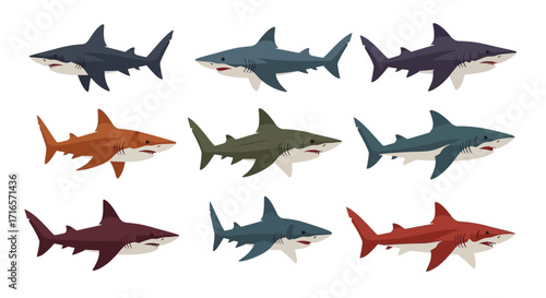 Nine stylized great white sharks in various colors, flat design illustration.