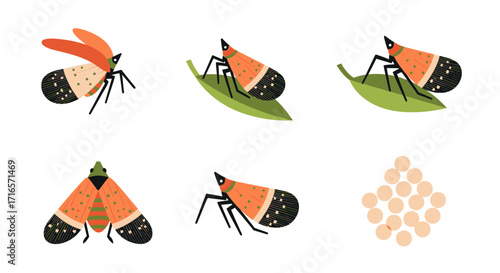 Planthopper Life Cycle Stages - Egg, Nymph, and Adult Illustrations.