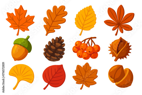 Vibrant Autumn Leaves. Isometric vector illustration set of vibrant autumn nature: maple leaf in orange-red, oak leaf in deep