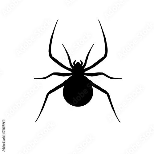 A creepy black spider with long legs is isolated on a white background, weaving a detailed web