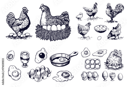 Chicken eggs and farm hen hand drawn vector. Engraved elements: nest, full basket, broken, boiled, fresh and other eggs