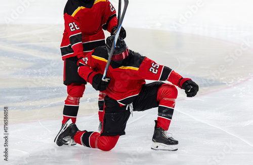 Photography Ice hockey player celebrating a game winning goal