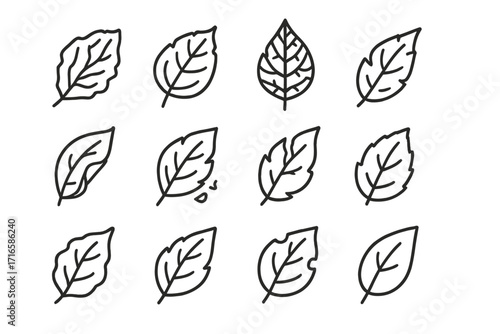 Dry Leaves Icons. Line style icons of dry leaves: crumpled leaf, cracked edge leaf, skeletonized leaf, broken tip leaf; curled