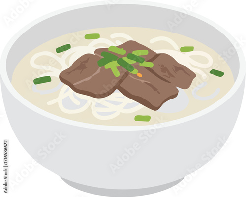 Bowl of noodles with meat and green onions in broth.