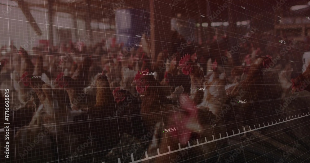 Obraz premium Standing brown chickens huddling in poultry barn, with digital grid overlay and numeric labels