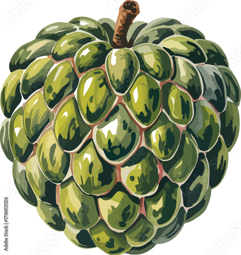 Green Custard Apple Fruit Illustration Vector Design