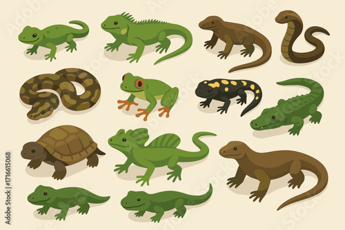 a collection of various exotic reptiles and amphibians. 