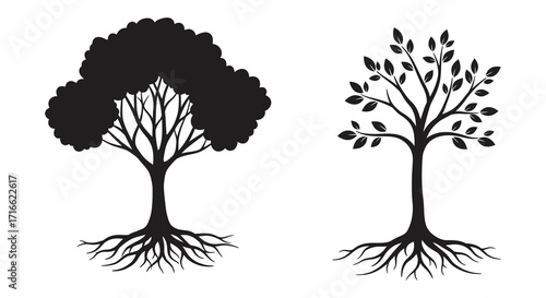 Black and white illustration depicting two trees with branching root systems