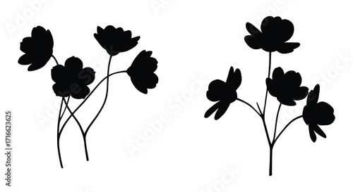 Simple black silhouettes of delicate wildflower stems and blooms are displayed