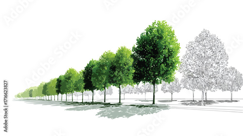 Symmetrical Alignment of Trees with Background Forest