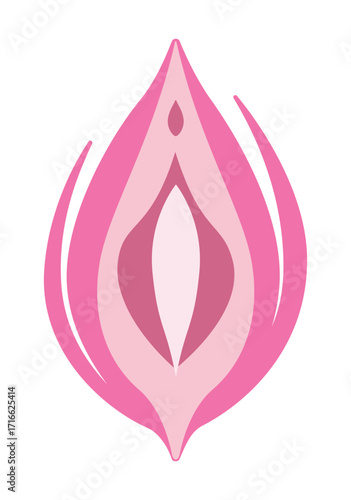 Female vagina, linear icon, elements of the woman's body. External female reproduction system, anatomy, symbol of the vulva. Design for healthcare, gynecological infographics. Vector illustrations EPS