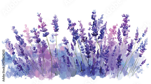 Elegant Watercolor Lavender Flowers Illustration